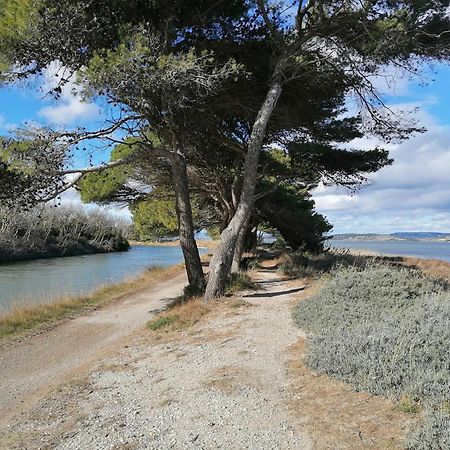 Entre Mer Et Roseaux - Piscine - Proche Centre Et Mer - Petfriendly Пор-ла-Нувель Экстерьер фото